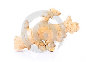 Fresh ginger root on white background for herb and medical product concept