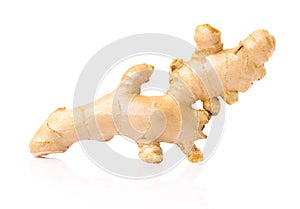 Fresh ginger root on white background for herb and medical product concept