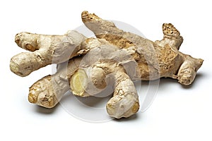 Fresh Ginger Root on White Background