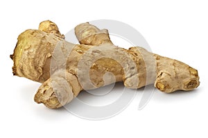 Fresh Ginger Root on White Background