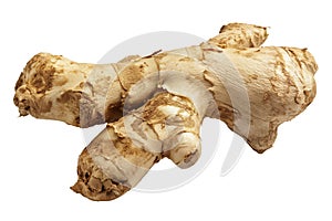 Fresh Ginger Root on White Background
