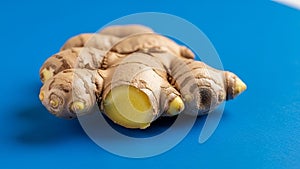 Fresh ginger root Zingiber officinale sits on a blue surface