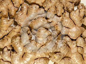 Fresh ginger roots, rhizomes from above photo