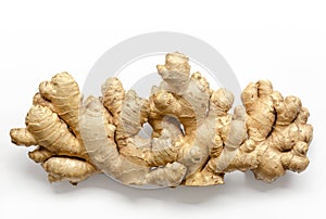 Fresh ginger roots, rhizomes from above, over white background photo