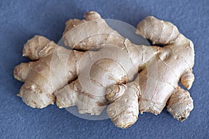 Fresh ginger roots against a light blue background, the rhizome of the Zingiber officinale