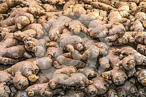 Fresh ginger roots display in the fresh vegetable market