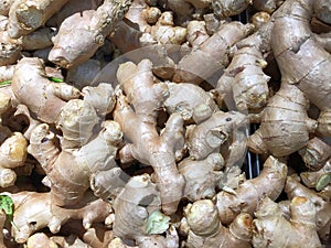 Fresh Gingers Background