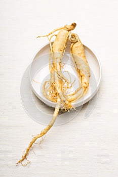 Fresh Ginseng