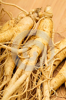 Fresh Ginseng close up