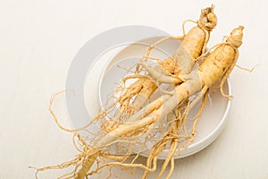Fresh Ginseng