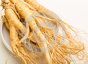 Fresh Ginseng