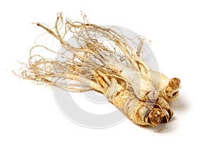 Fresh Ginseng root