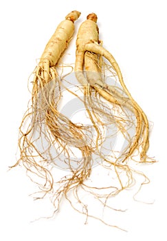 Fresh Ginseng root stick