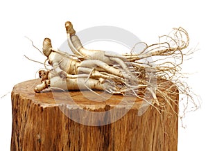 Fresh Ginseng root stick