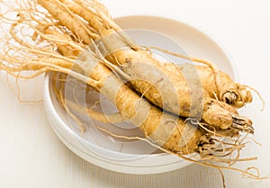 Fresh ginseng root texture