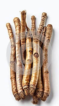 Fresh Ginseng Roots on White Background