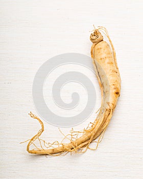 Fresh Ginseng stick