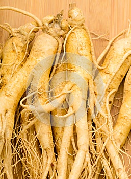 Fresh Ginseng