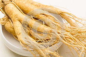 Fresh Ginseng texture