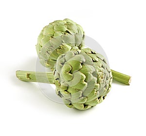 Fresh Globe Artichokes on White Background