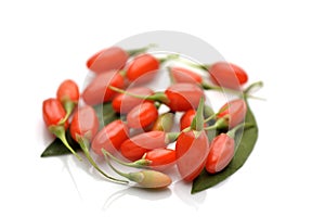 Fresh goji berries