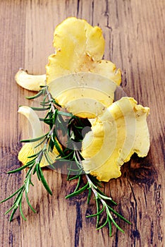 Fresh golden chanterelles mushroom on wooden table background