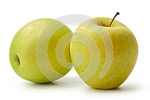 The fresh Golden Delicious apples are isolated on a white background.