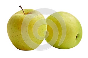 The fresh Golden Delicious apples are isolated on a white background