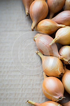 Fresh golden organic onions, clean eating concept