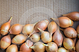 Fresh golden organic onions, clean eating concept