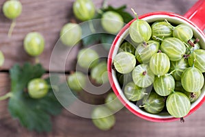 Fresh gooseberries