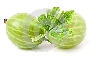 Fresh gooseberries with leaf isolated on white background closeup macro