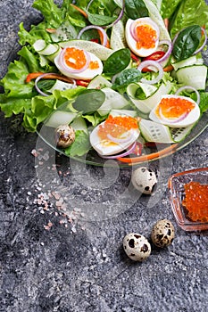 Fresh  gourmet salad with  red  salmon caviar and  eggs and vegetables.  Protein luxury delicacy  healthy food. beautifull served
