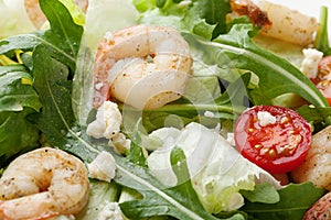 Fresh gourmet seafood salad with shrimps, greens, cherry tomatoes, cheese