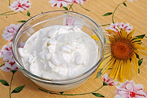 Fresh grainy cottage cheese