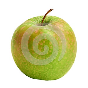 The fresh Granny Smith apple is isolated on a white background