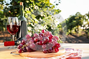 Fresh grape with bottles and glass of red wine on wooden table in vineyard