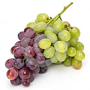 Fresh Grape Bunch isolated on white background