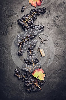 Fresh grape, cork and corkscrew on dark background