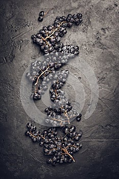 Fresh grape on dark background