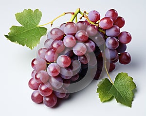Fresh grape