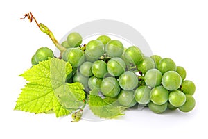 Fresh grape fruits with green leaves isolated