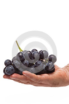 Fresh grape isolated on white