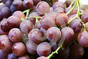 Fresh grapes