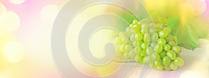 Fresh grapes on wooden background with copy space.