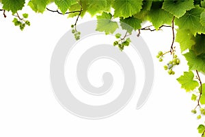 Fresh Grapevine Border Isolated on a White Background. created with Generative AI