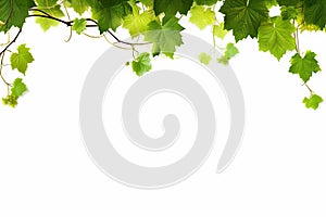 Fresh Grapevine Border Isolated on a White Background. created with Generative AI