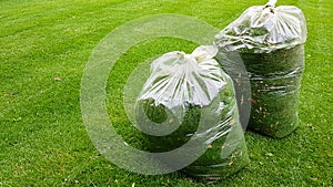 Fresh grass clippings in garbage bag on green grass photo
