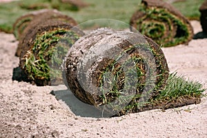 Fresh grass rolls of turf. Preparation for planting of new lawn