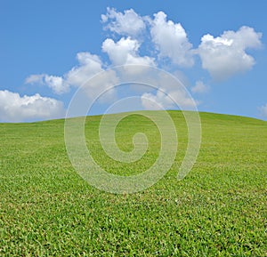 Fresh grass and sky